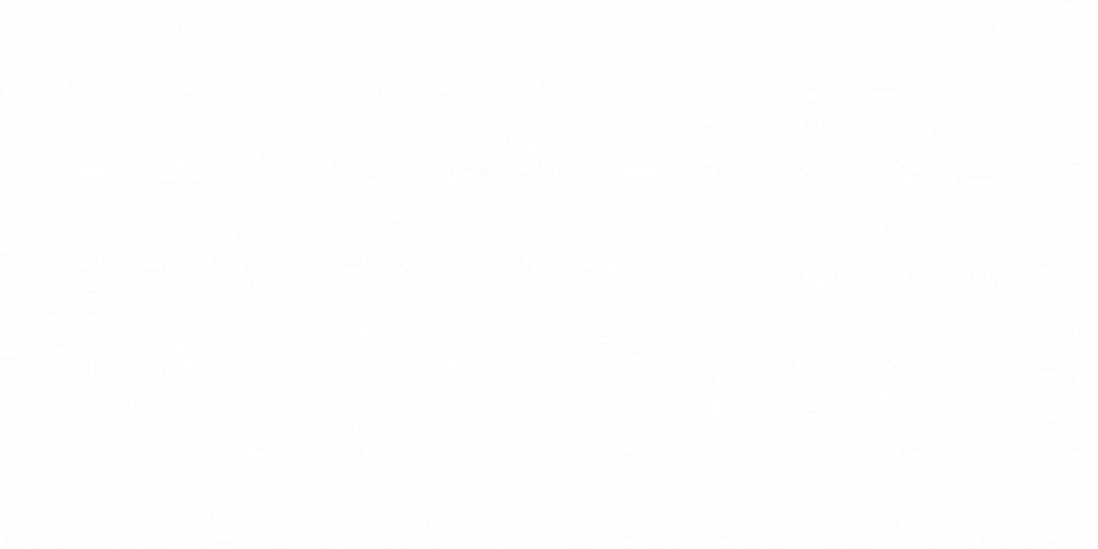 logo-gif_fessh.gif